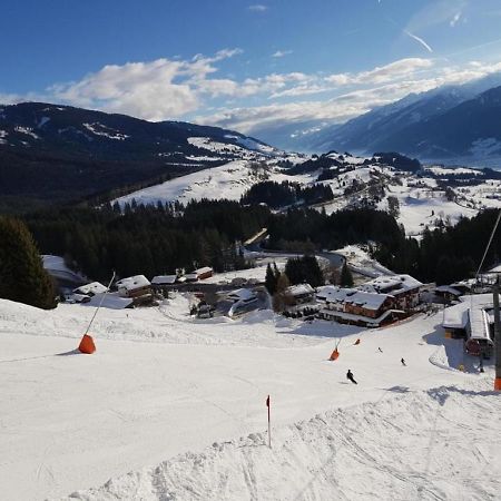 Panorama Chalet Mittersill Buitenkant foto